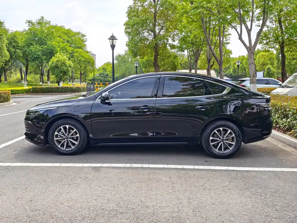 BYD Destroyer 05 2024 DM-i 55KM Luxury