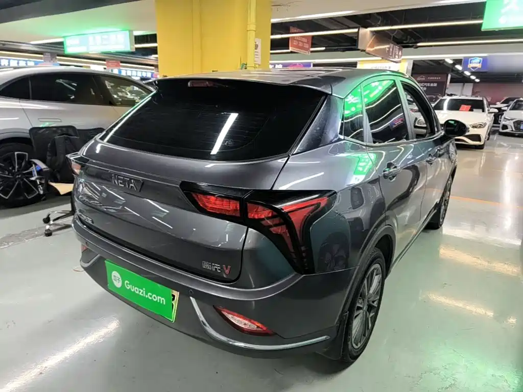 Neta Neta V — миниатюра 7