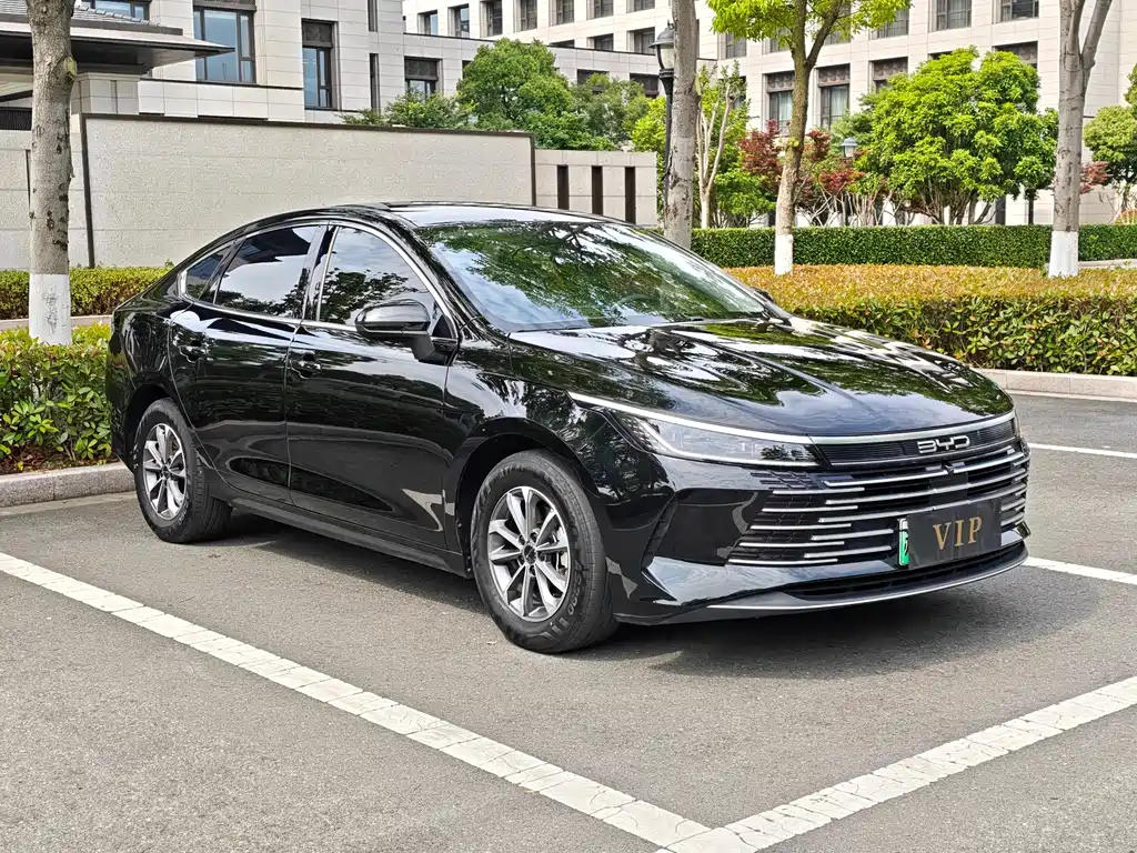 BYD Destroyer 05 2024 DM-i 55KM Luxury