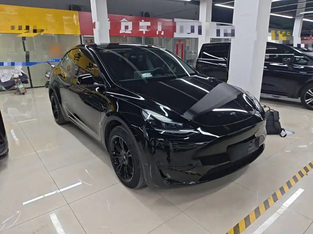Tesla Model Y — миниатюра 4