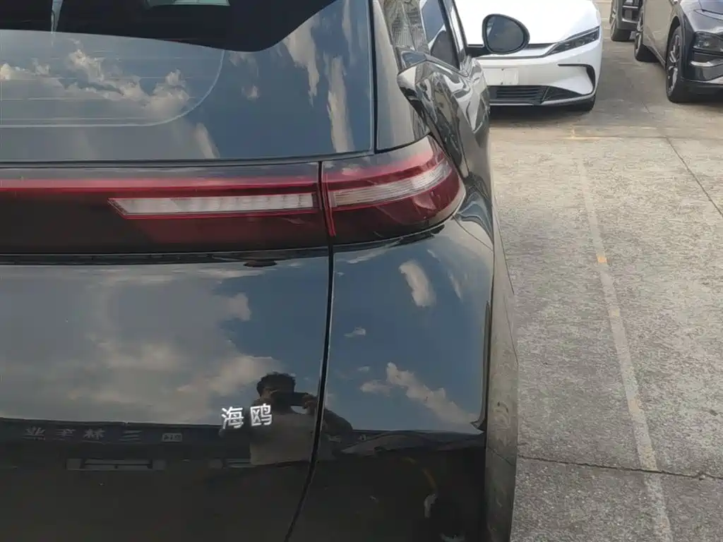 BYD Seagull 2024 305km