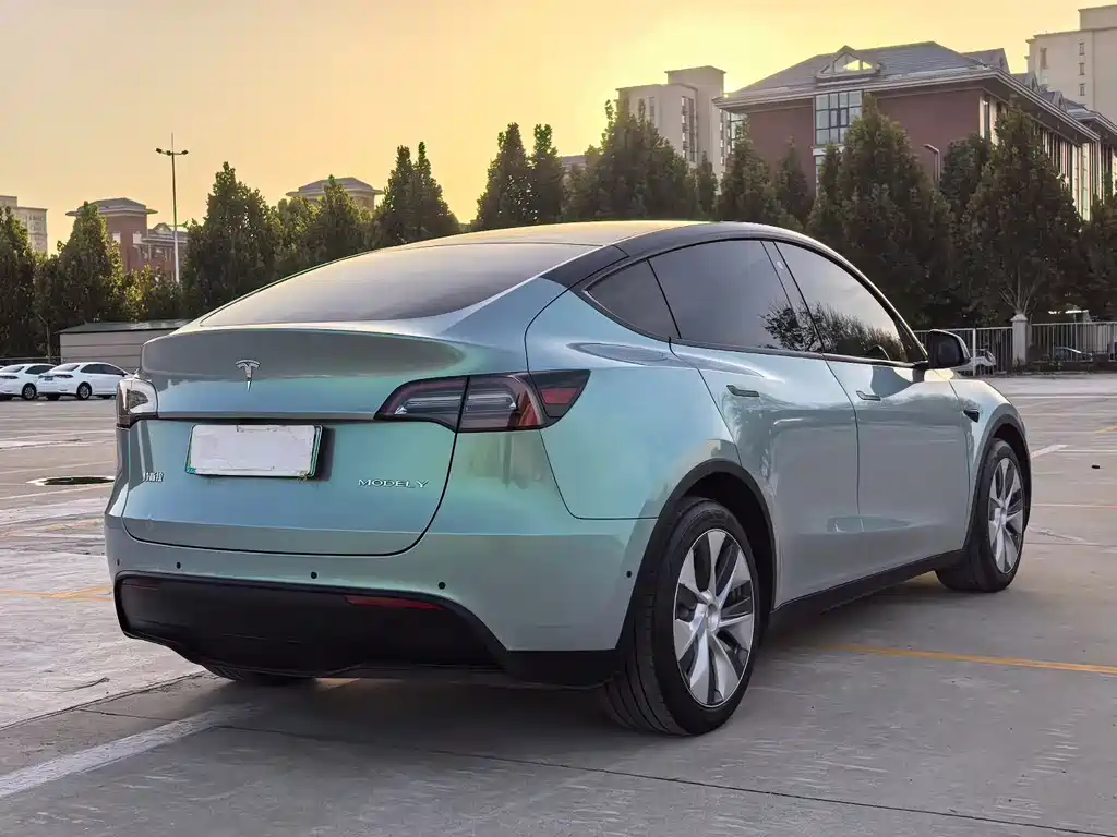 Tesla Model Y — миниатюра 8