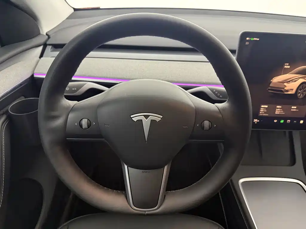 Tesla Model Y — миниатюра 16