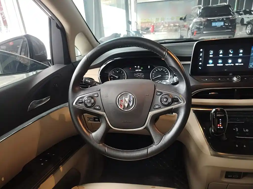 Buick GL8 — миниатюра 11