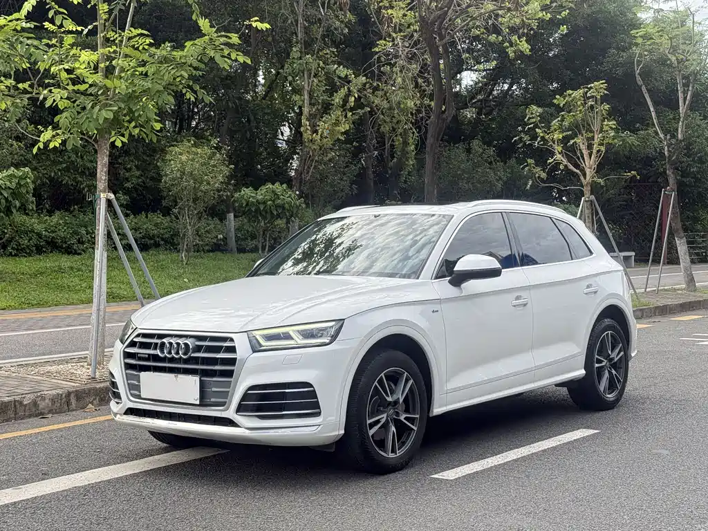 Audi Q5L 2019