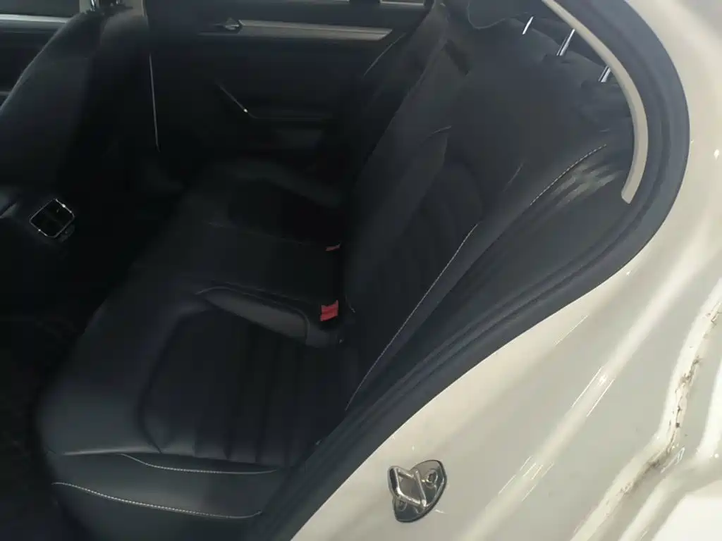 Volkswagen Lamando — миниатюра 17