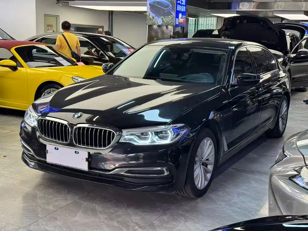BMW 5 Series 5 2019 530Li Premium Luxury