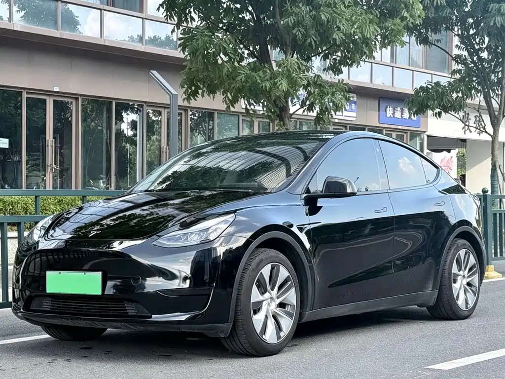 Tesla Model Y — миниатюра 2