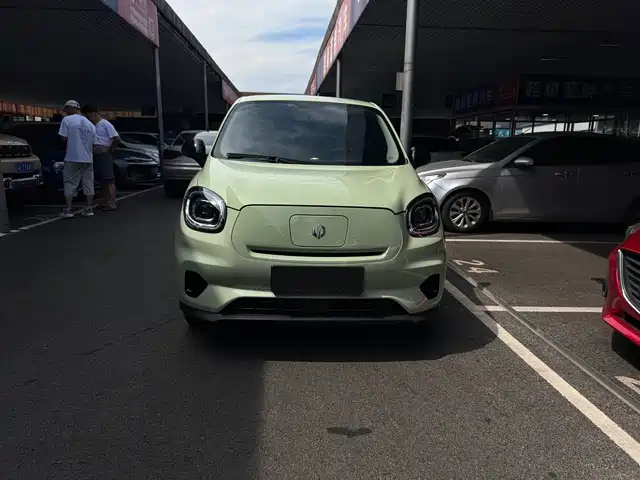 2023 Leapmotor T03