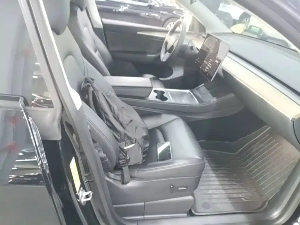 Tesla Model Y — миниатюра 25