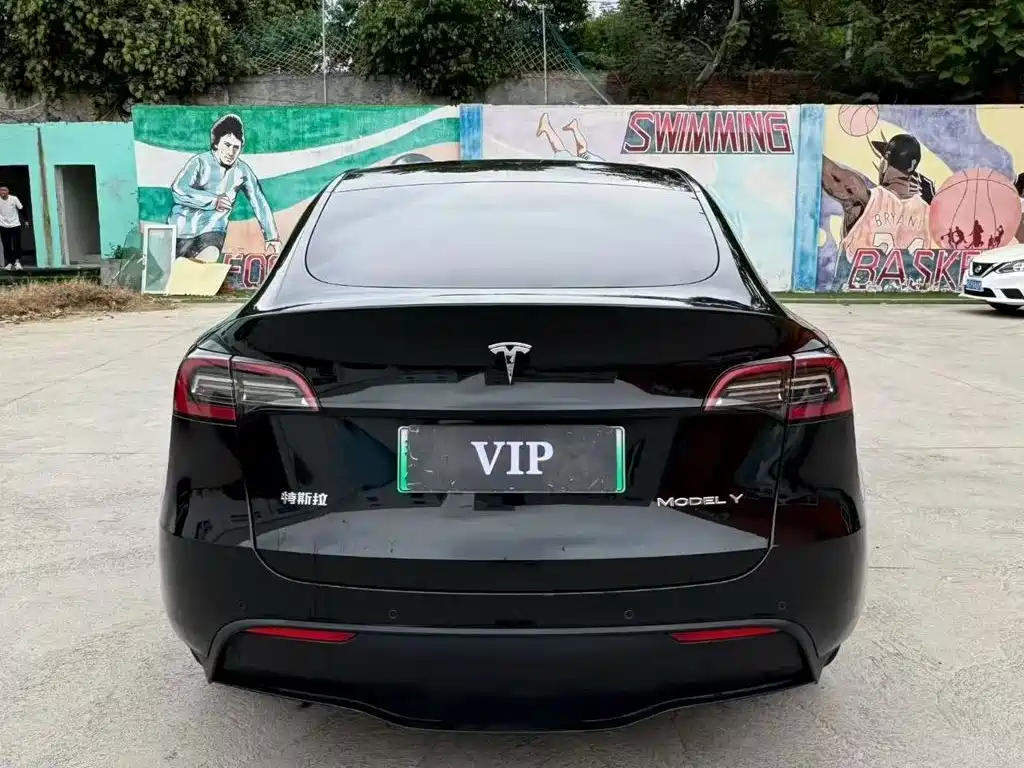 Tesla Model Y — миниатюра 5