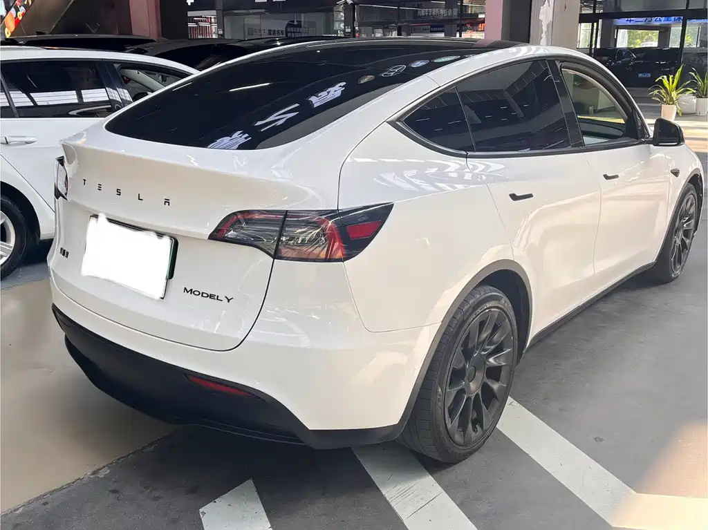 Tesla Model Y — миниатюра 9