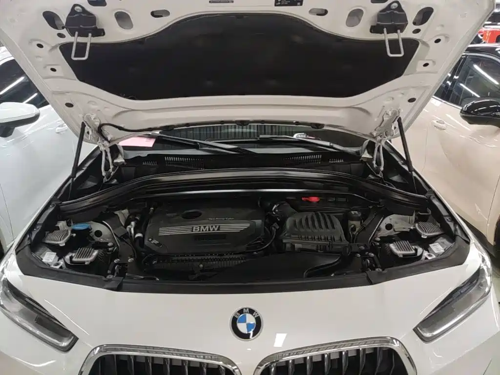 BMW X2 — миниатюра 20