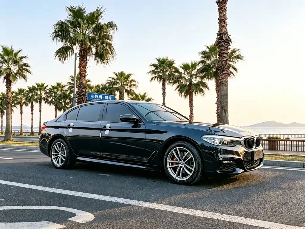 BMW 5 Series — миниатюра 3