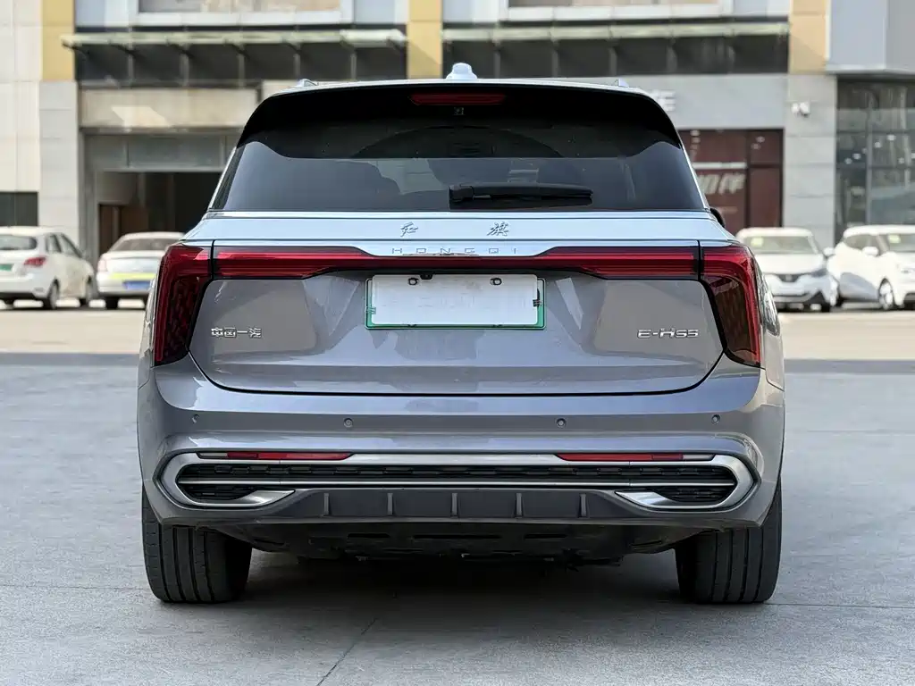 Hongqi HONGQI E HS9