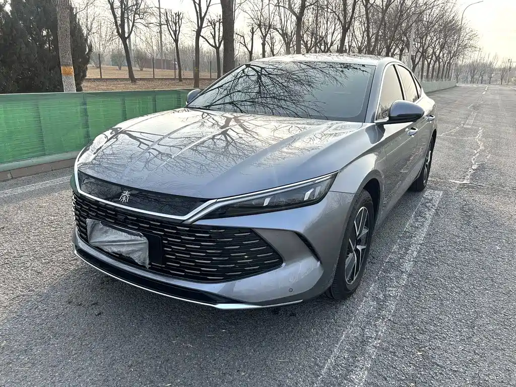Byd Qin L 2024