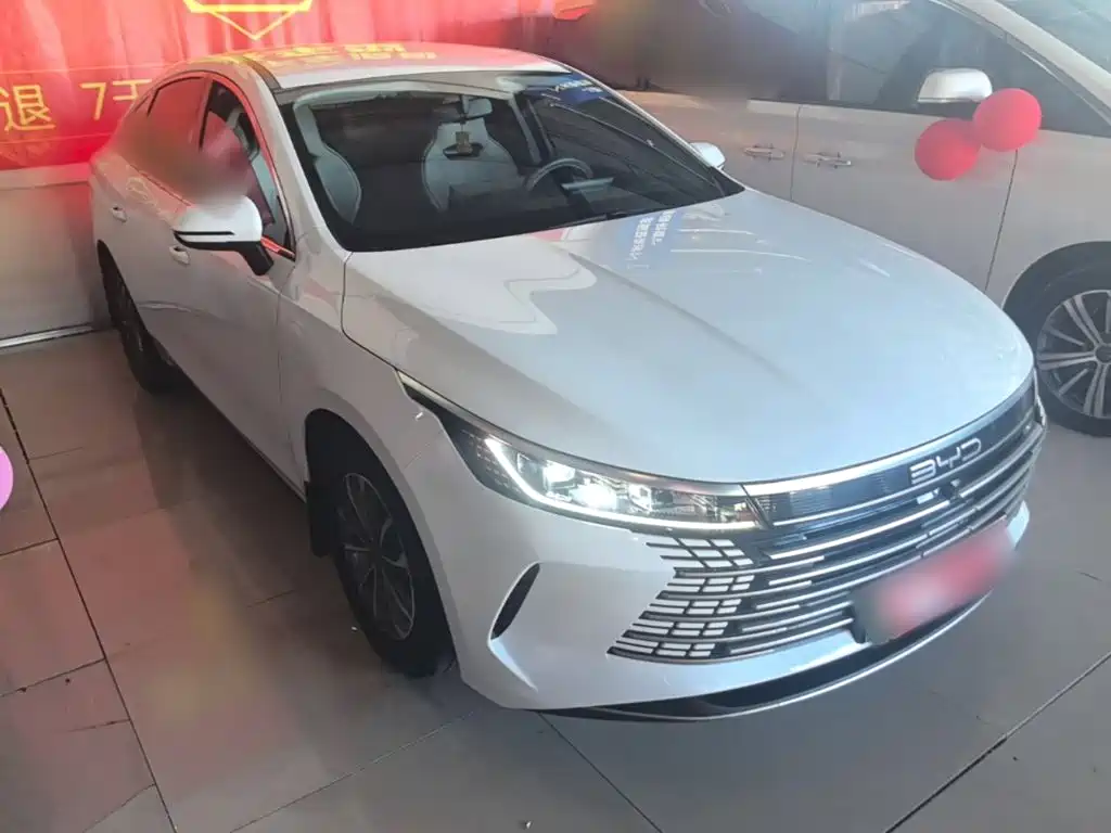 BYD Destroyer 05 — миниатюра 4