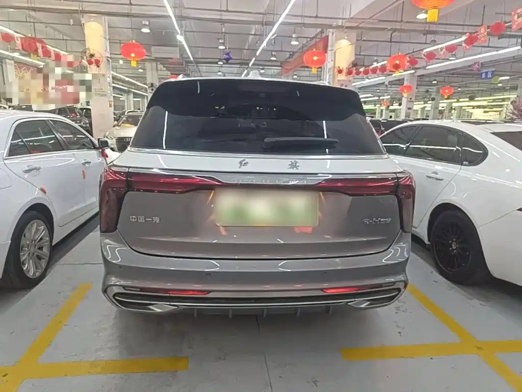 Hongqi Hongqi E-HS9 — миниатюра 6