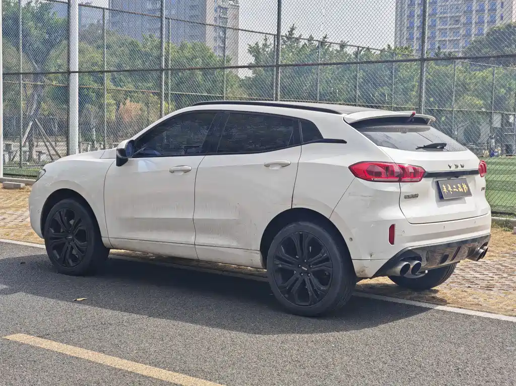 WEI PAI WEI BRAND VV5