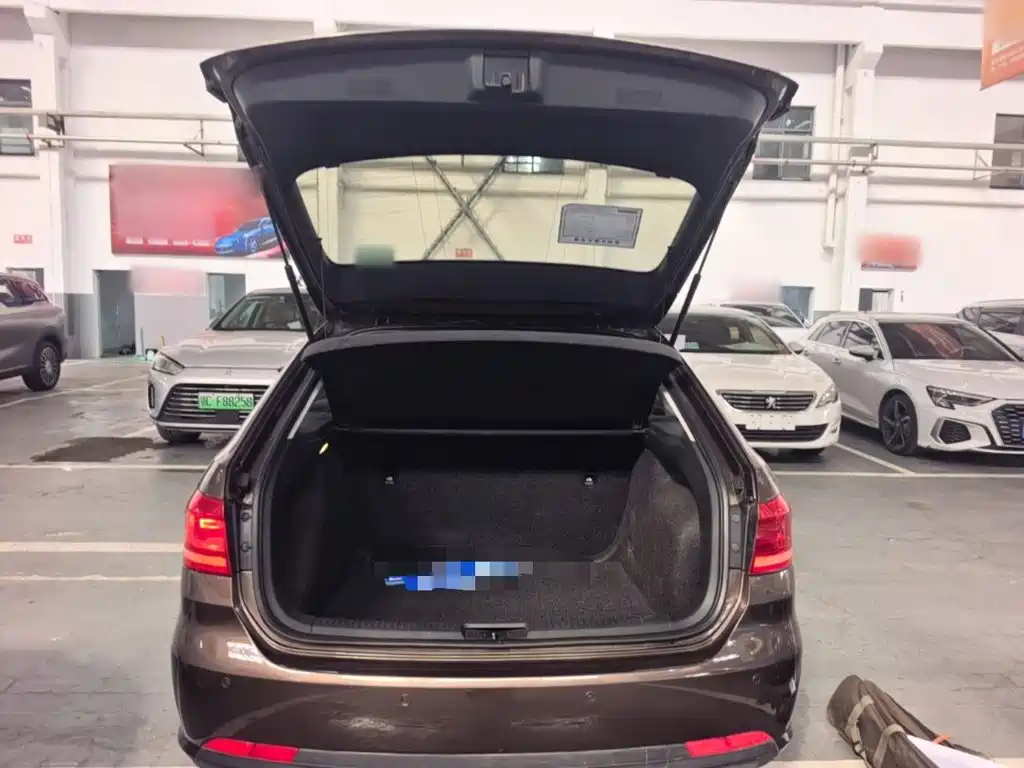 Volkswagen Gran Lavida — миниатюра 19