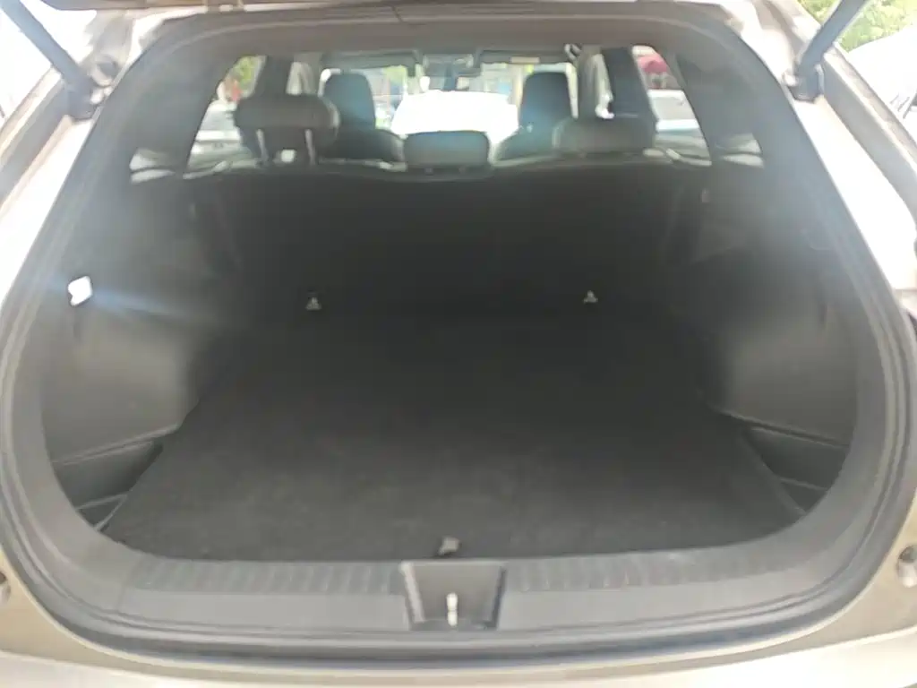 Haval Shenshou — миниатюра 19