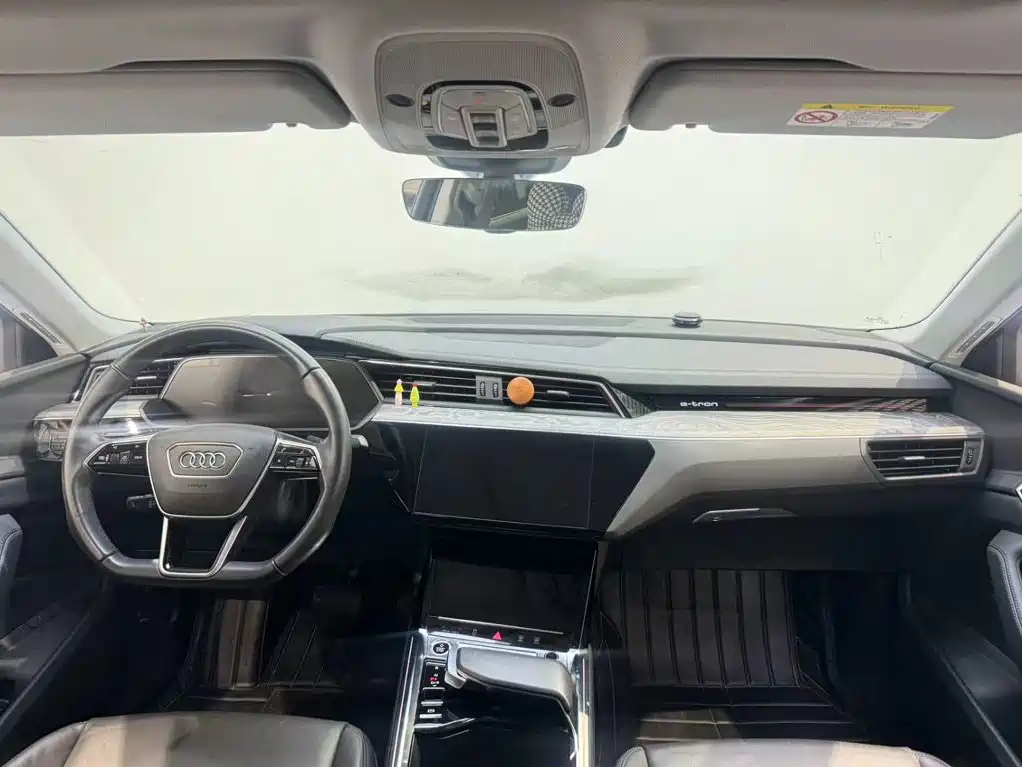Audi e-tron (Import) — миниатюра 7