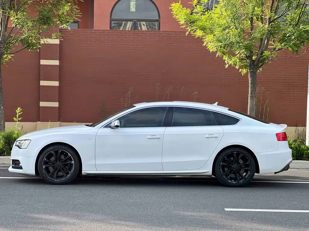 Audi S5 — миниатюра 4