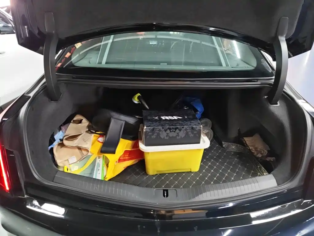 Cadillac CT6 — миниатюра 19