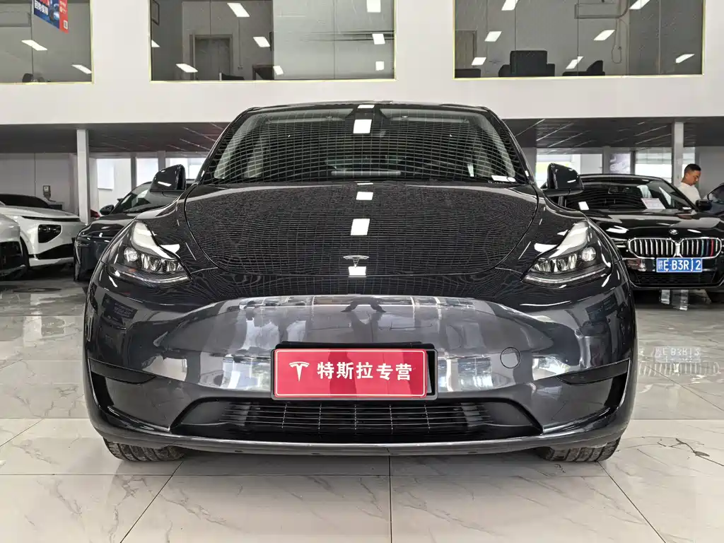 Tesla Model Y — миниатюра 2