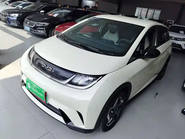 BYD DOLPHIN 2024