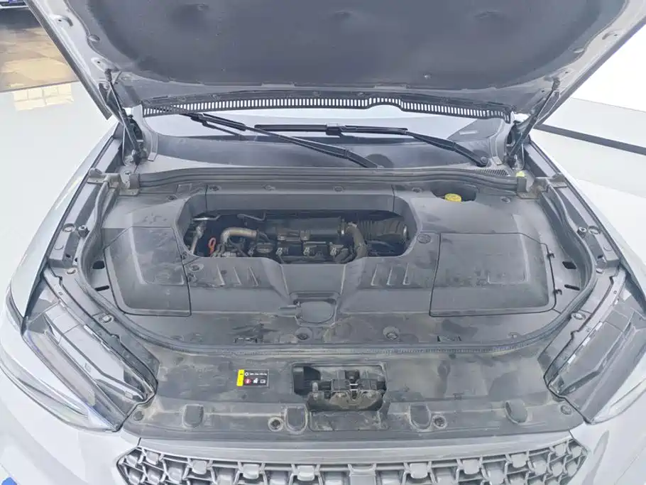 Wey Wey VV6 — миниатюра 10