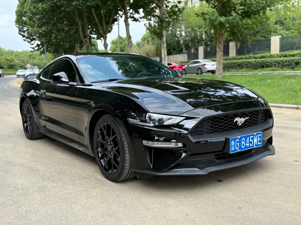 Ford Mustang — миниатюра 3