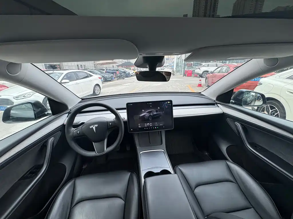 Tesla Model Y — миниатюра 5