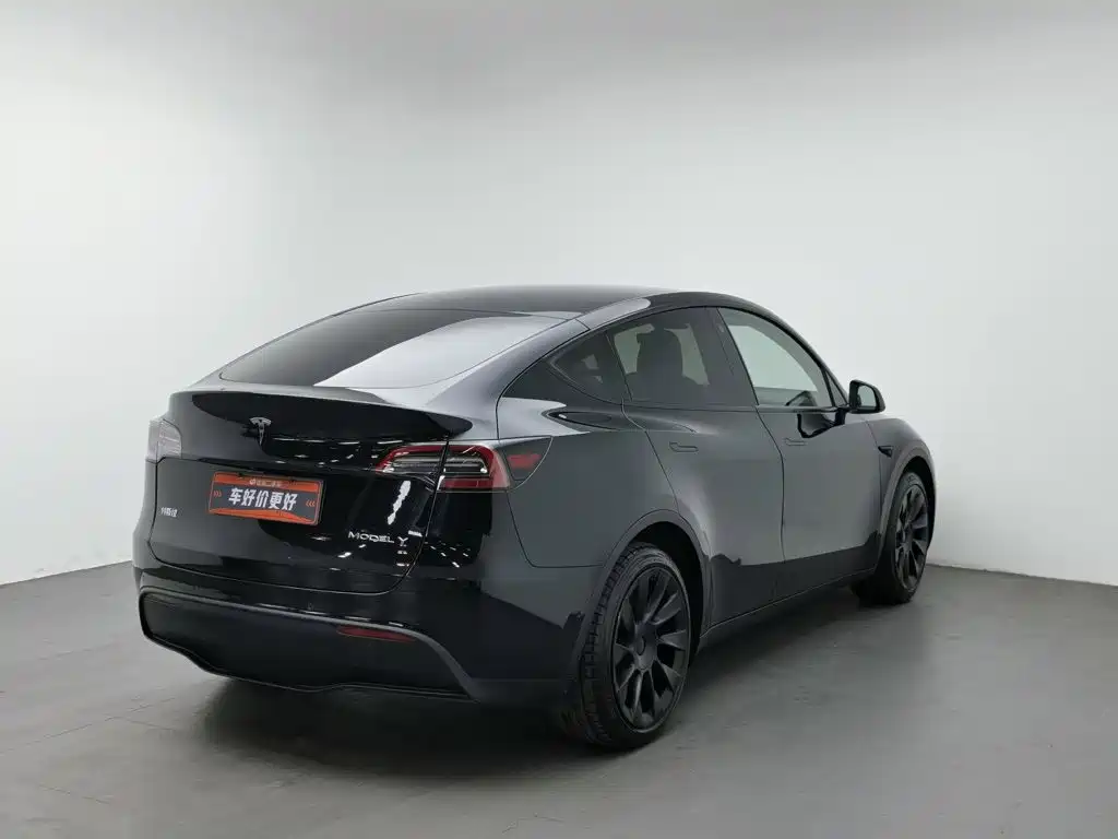 Tesla Model Y — миниатюра 2
