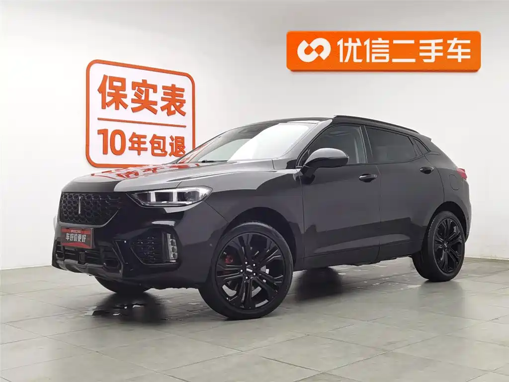 WEI PAI WEI BRAND VV5