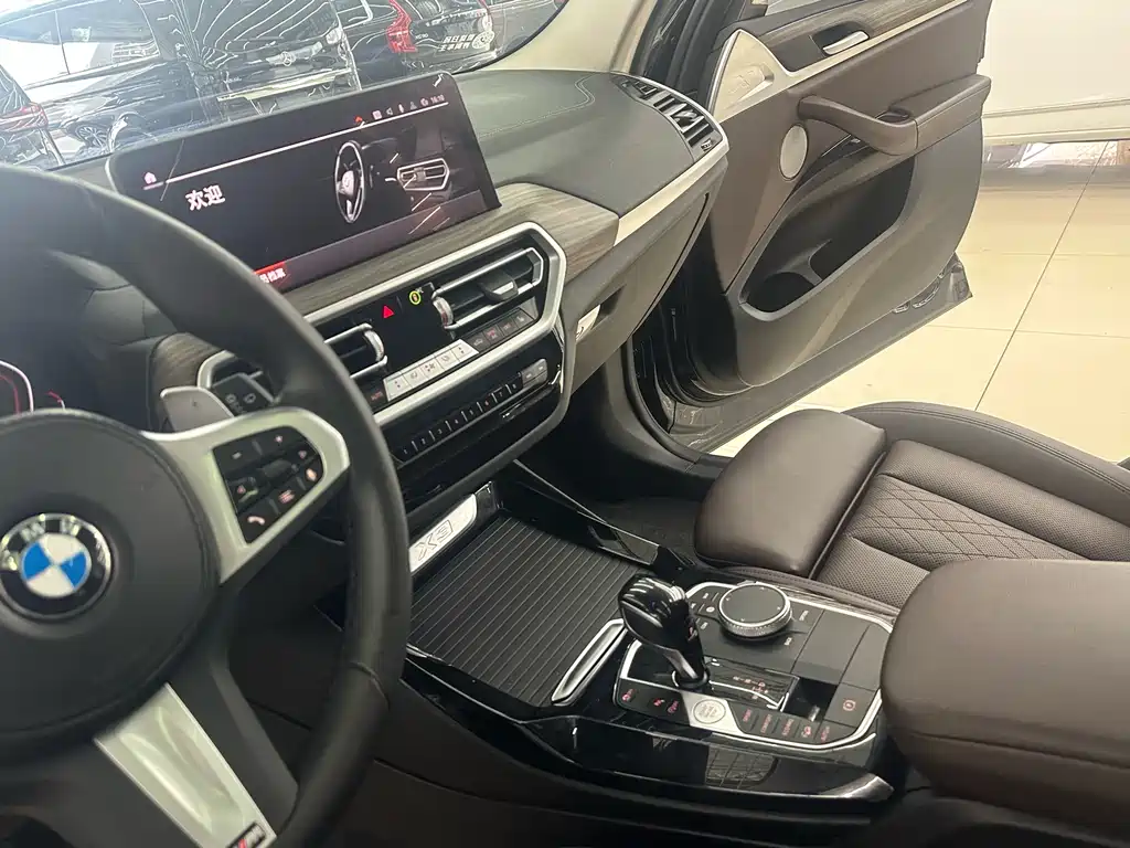 BMW X3 xDrive30i Leading Type M Night Package, фото 16