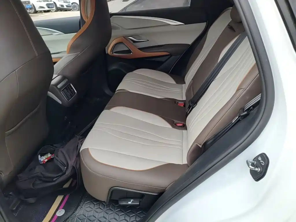 BYD Pro New Energy — миниатюра 17