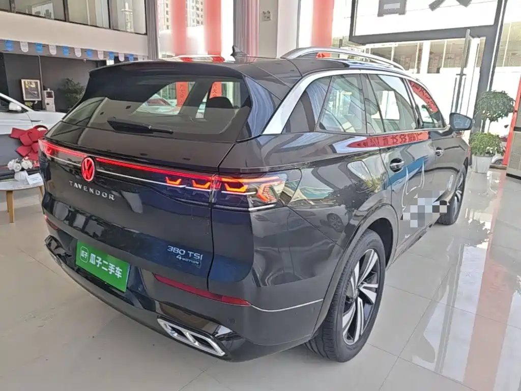 Volkswagen Tavendor — миниатюра 7