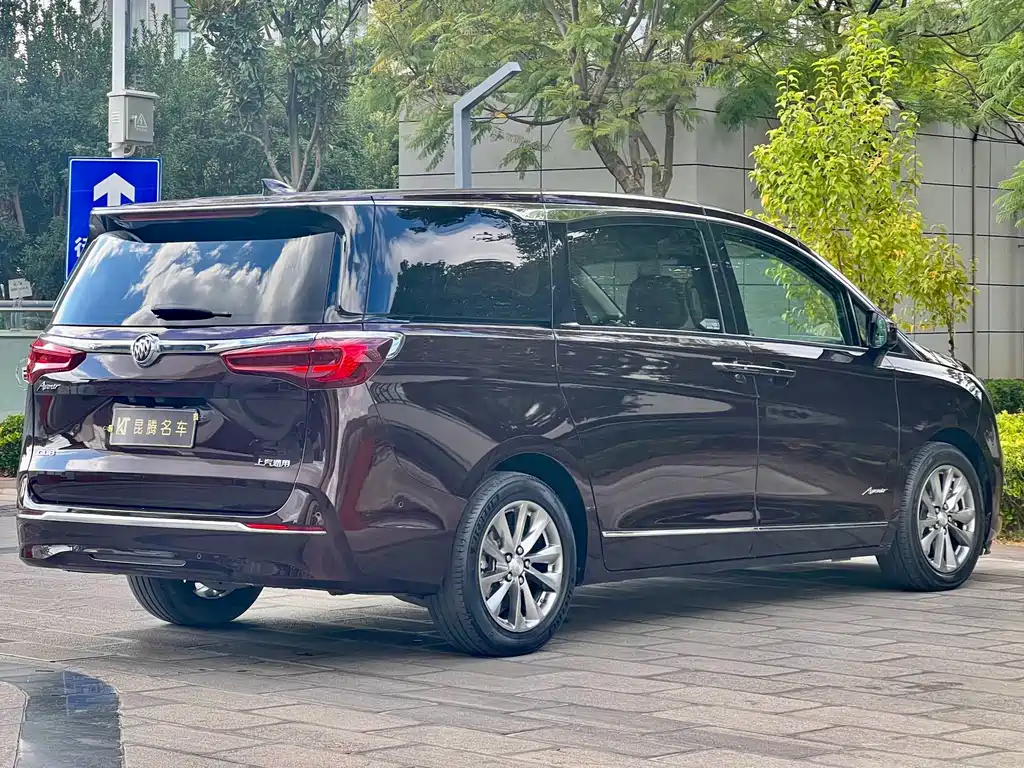 Buick GL8 — миниатюра 6