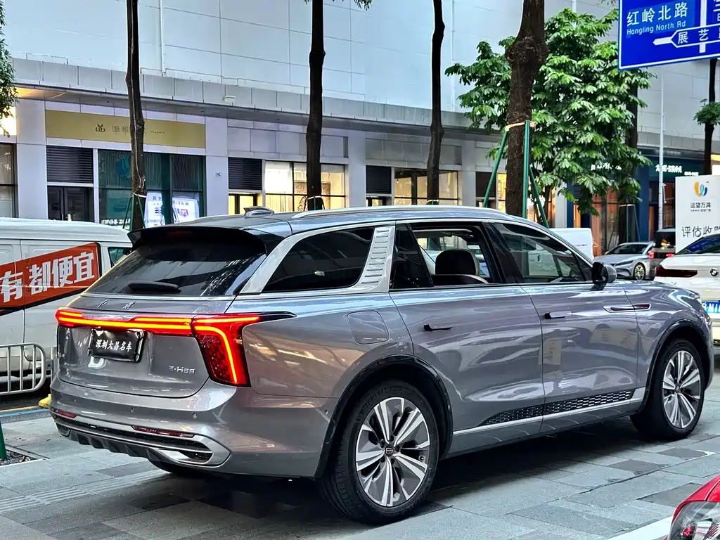 Hongqi Hongqi E-HS9 — миниатюра 7
