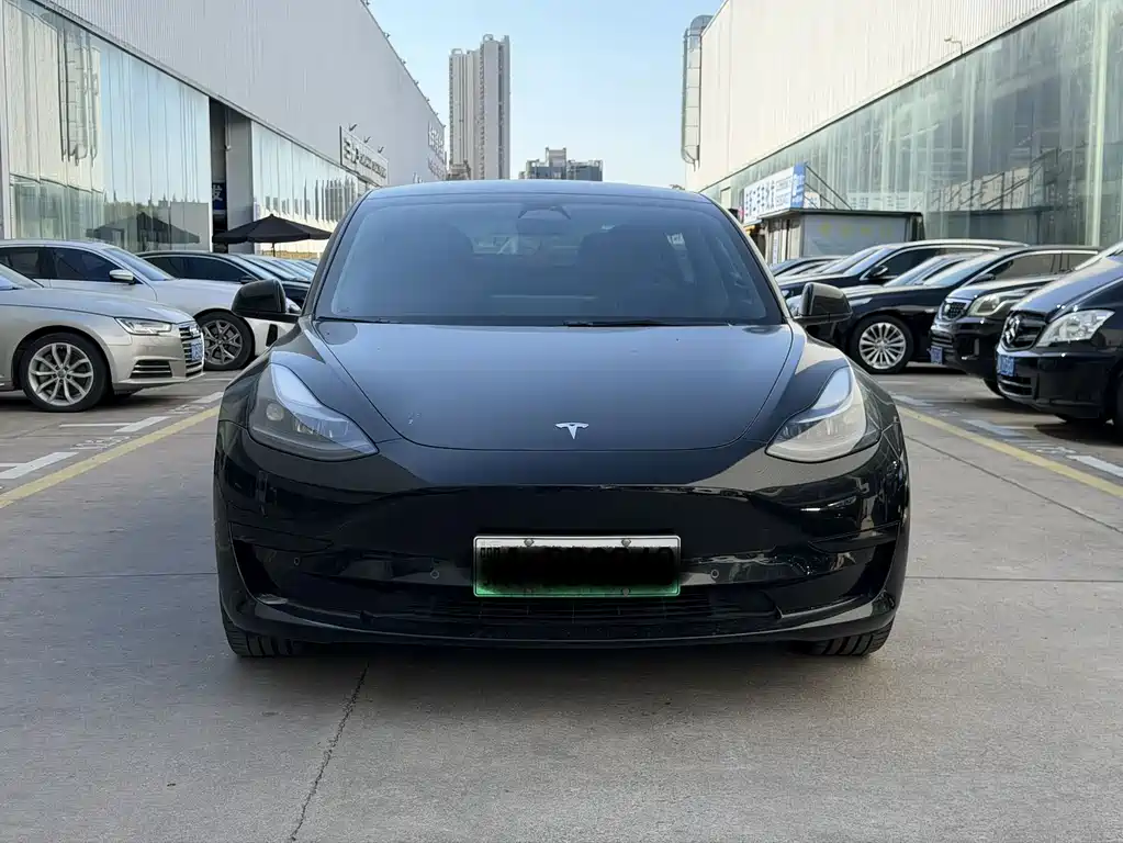 Tesla Model 3 — миниатюра 3