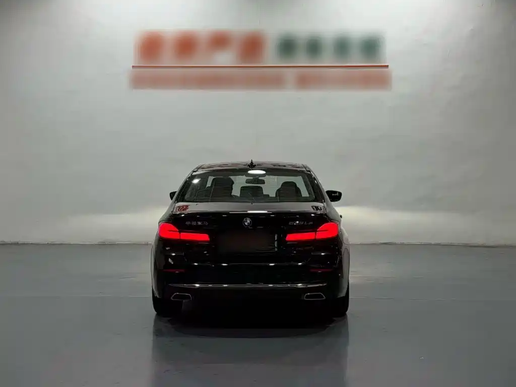 BMW 5 Series New Energy — миниатюра 13