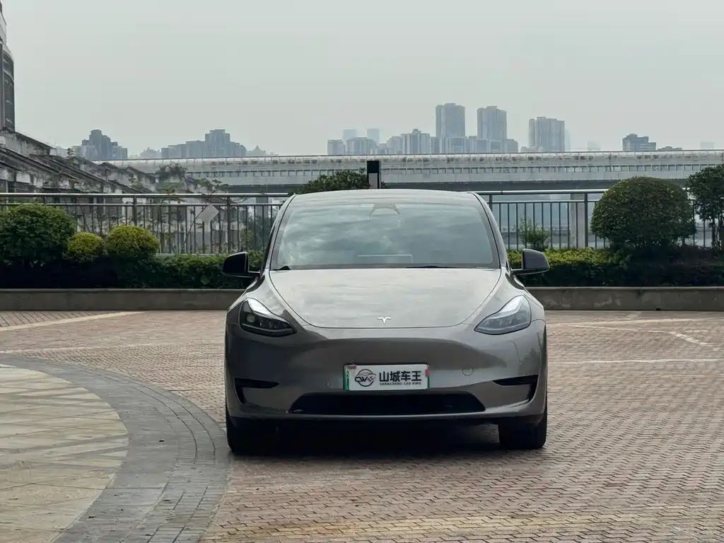 Tesla Model Y — миниатюра 2