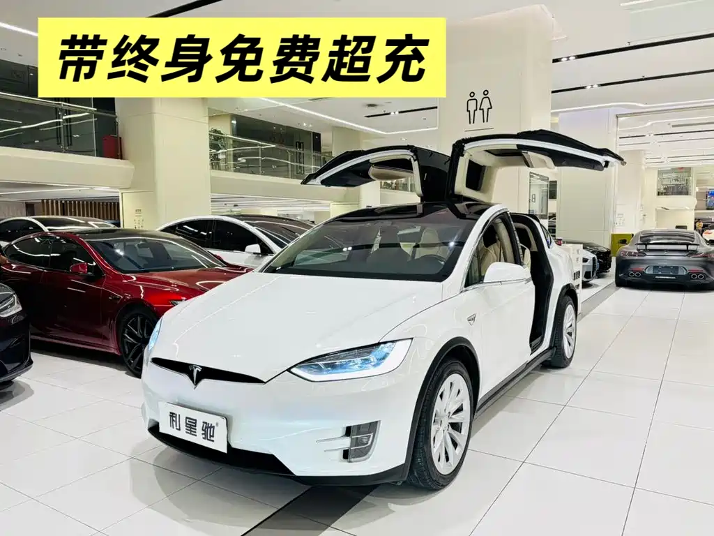 TESLA MODEL X