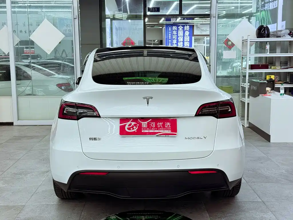 Tesla Model Y — миниатюра 6