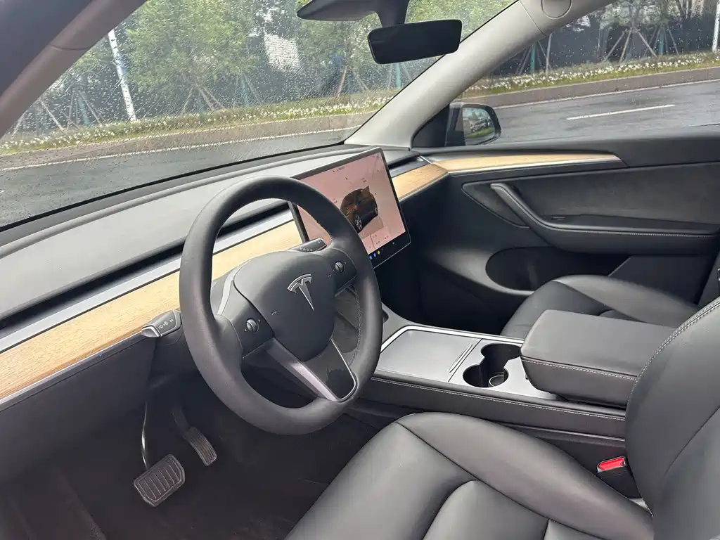 Tesla Model Y — миниатюра 5