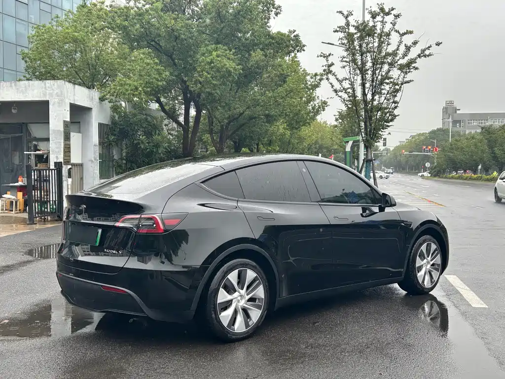 Tesla Model Y — миниатюра 3