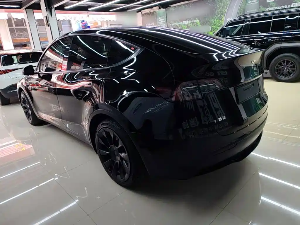 Tesla Model Y — миниатюра 5