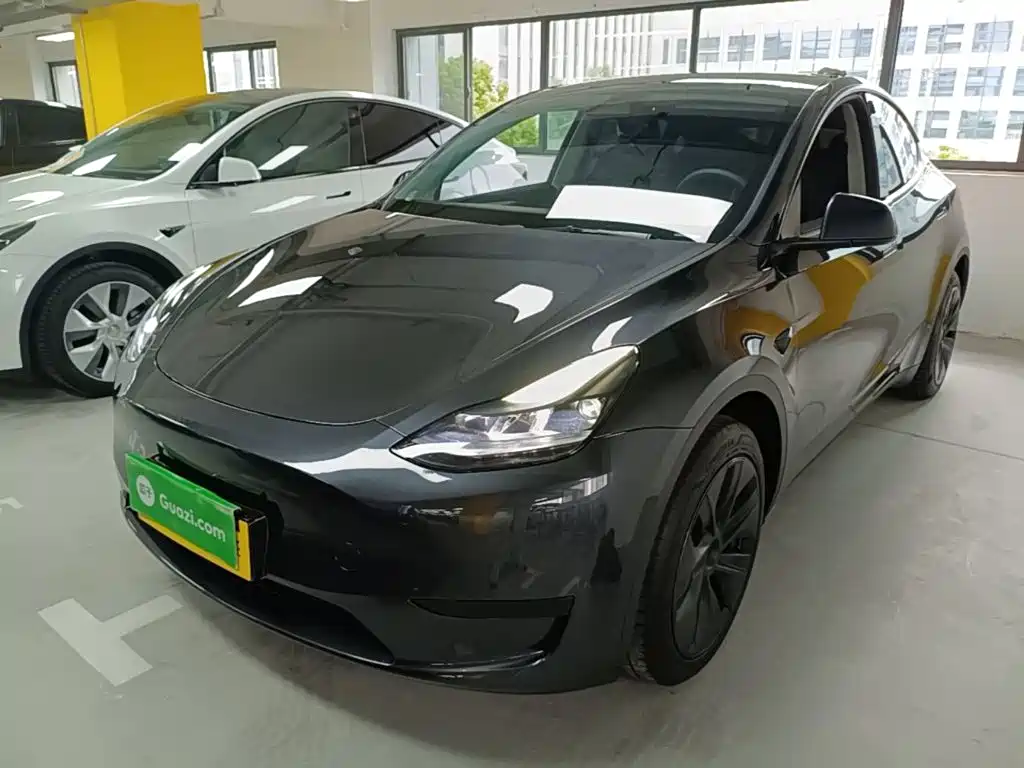 Tesla Model Y — миниатюра 2