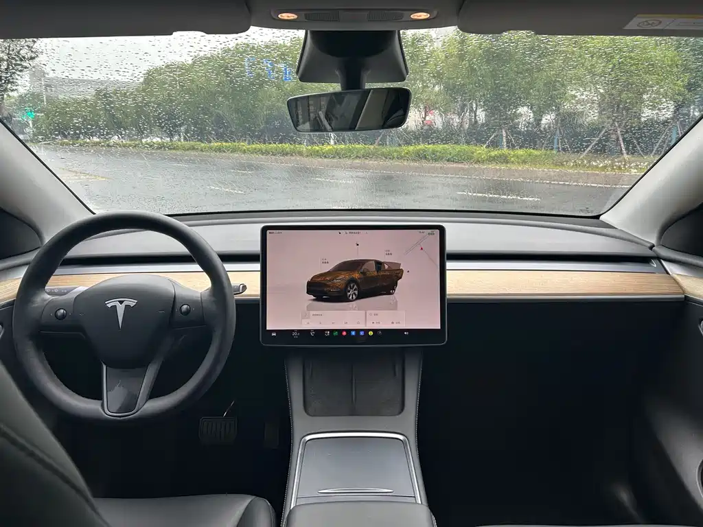 Tesla Model Y — миниатюра 8